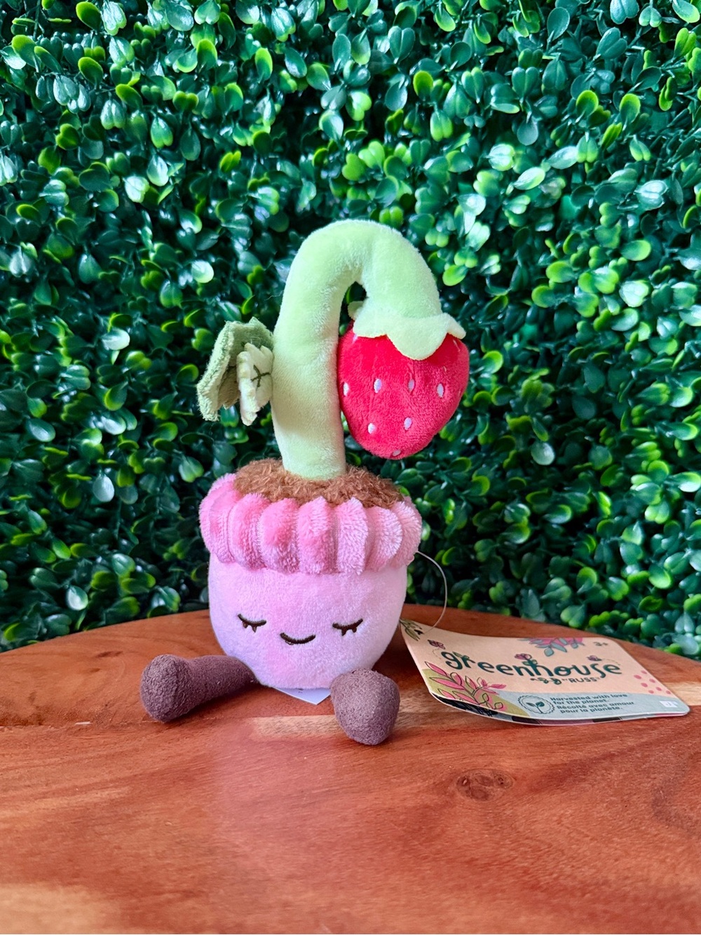 Greenhouse by Russ Kaitlyn the Strawberry Plant 6” Mini Plush